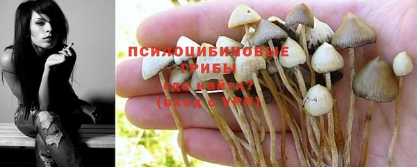 синтетический гашиш Ладушкин