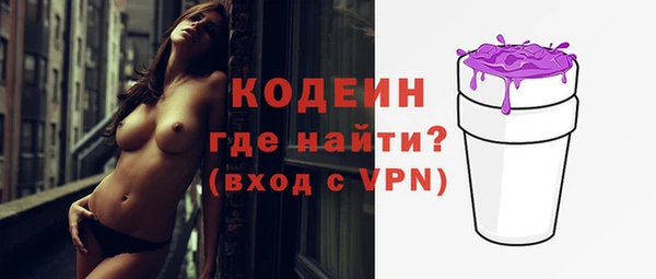 дурь Лабытнанги