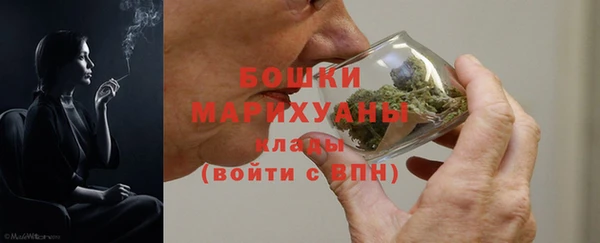 дурь Лабытнанги