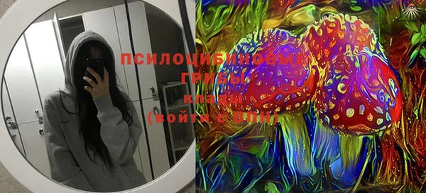 синтетический гашиш Ладушкин